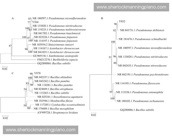基于耐力评估表的全面分析与应用研究探索
