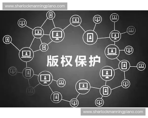 以形象权为核心探讨数字时代公民个人信息与公共领域权益保护策略